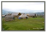Frame_IMG_6571 eweb