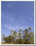 Frame_9822 e