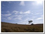 Frame_9831 e
