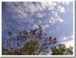 Frame_9846 e