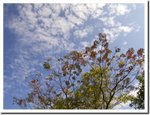 Frame_9848 e