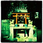 Holga EtoC RDPIII 01