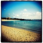 Holga EtoC RDPIII 08