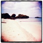 Holga EtoC RVP100F 01