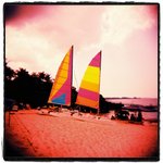 Holga EtoC RVP100F 08