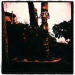 Holga EtoC RVP100F 10