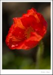 _MG_9504 ec
