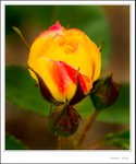 _MG_9515 ec