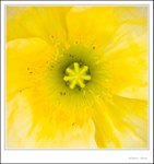 _MG_9517 ec2