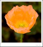 _MG_9527 ec
