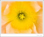 _MG_9538 ec