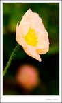 _MG_9541 ec