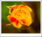 _MG_9545 ec