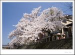 _MG_7750 e
