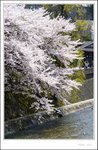 _MG_7773 ec