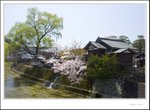 _MG_7795 e