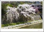 _MG_7803 e