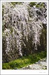 _MG_7810 ec