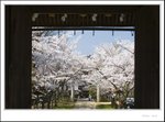_MG_7830 ec