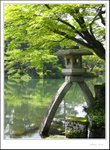兼六園 - 櫻花盛開時的相好靚, 日後有機會要再去影相先得
IMG_8094