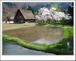 IMG_7995