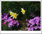IMG_8004