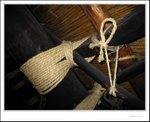 IMG_8010