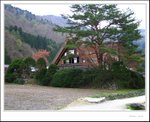 IMG_8012