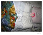 zzzzzzzzz
IMG_8034