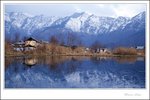 Kashmir 141 ec