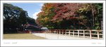 scan 267