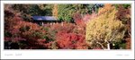 scan 279