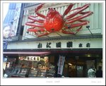 luxurious crab meal in Osaka
DSC00129