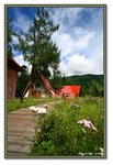 Frame_IMG_6677 eweb