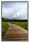 Frame_IMG_6679 eweb
