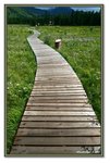 Frame_IMG_6680 eweb
