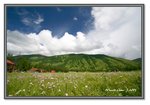 Frame_IMG_6682 eweb