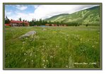 Frame_IMG_6685 eweb
