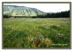 Frame_IMG_6686 eweb