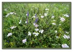 Frame_IMG_6687 eweb