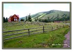 Frame_IMG_6750 eweb