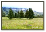 Frame_IMG_6786 eweb