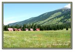 Frame_IMG_6911 eweb