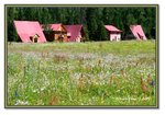 Frame_IMG_6912 eweb