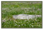 Frame_IMG_6913 eweb