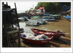 IMG_0596 e