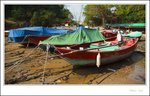 IMG_0601 ec