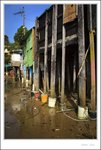 IMG_0603 e