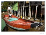IMG_0605 e