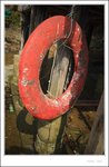 IMG_0613 e